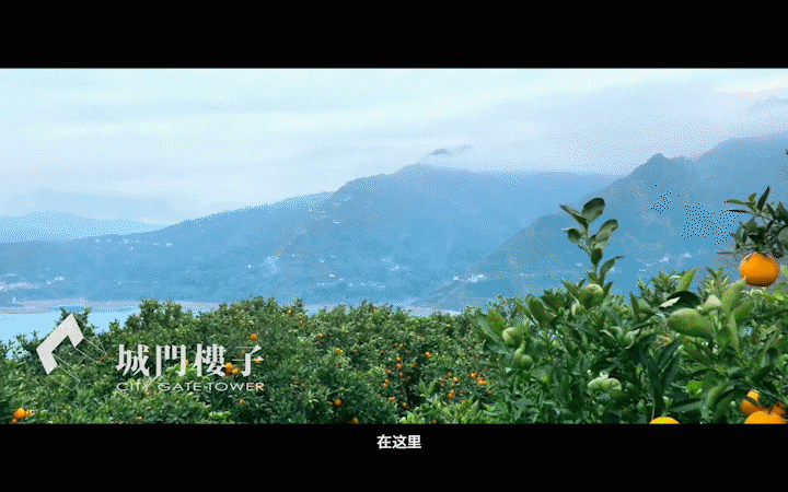 城門樓子文化傳媒