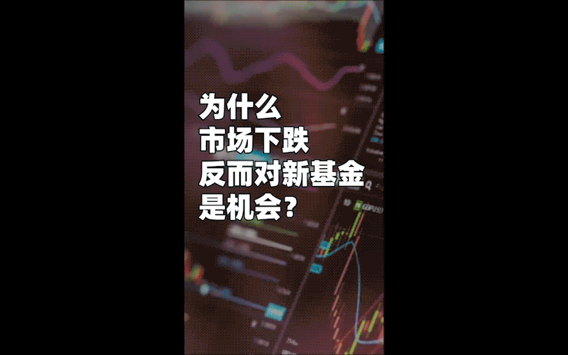 本視文化傳媒