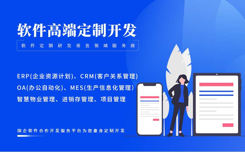 物联网开发_saas|python数据可视化分析处理工具脚本软件开发定制1