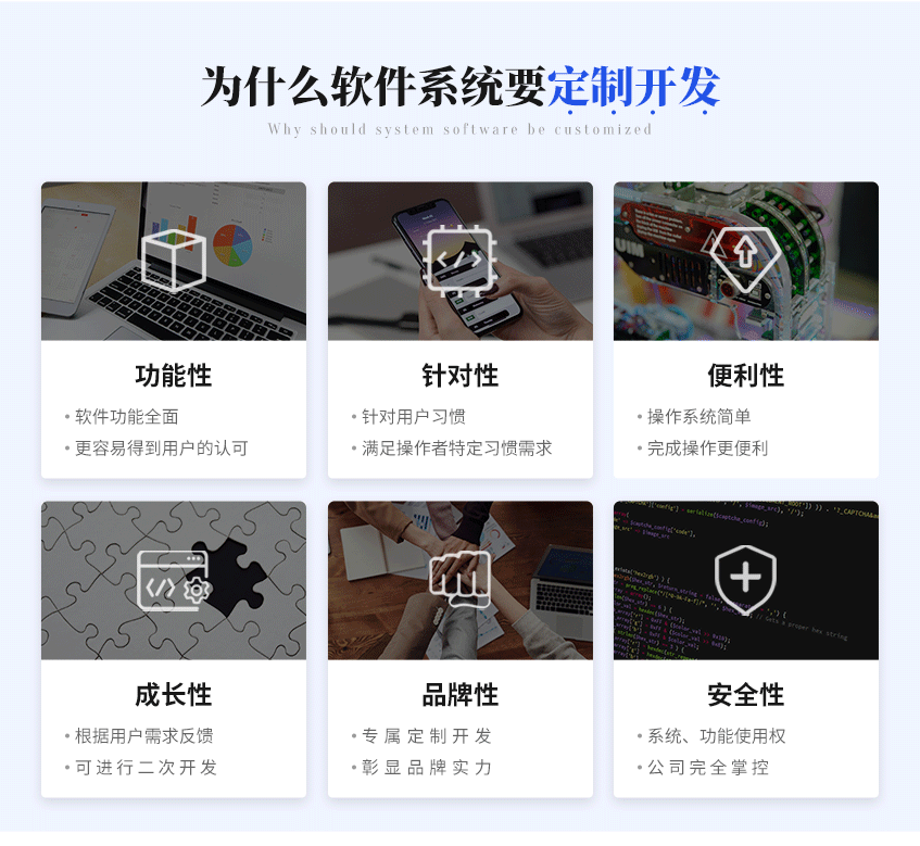 计算机软件开发_【软件开发】微软Windows计算机桌面应用项目管理系统定制3