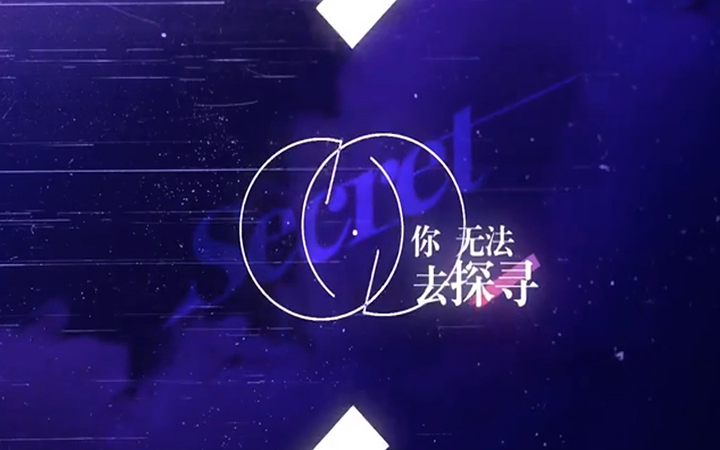佳燁視頻影像