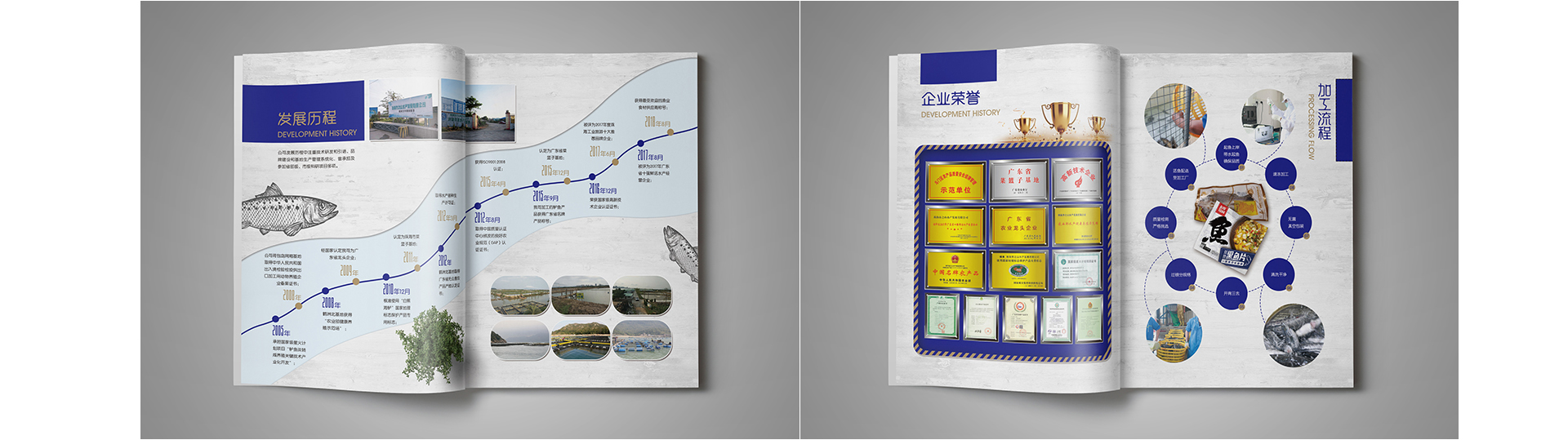 睛靈品牌定制丨創(chuàng)始于2009