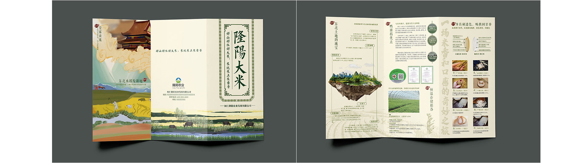 睛靈品牌定制丨創(chuàng)始于2009