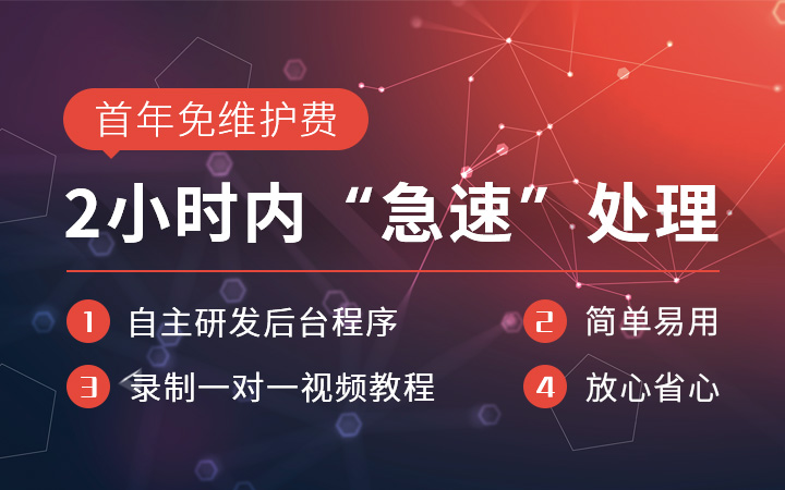 庞智科技-12年技术源团队