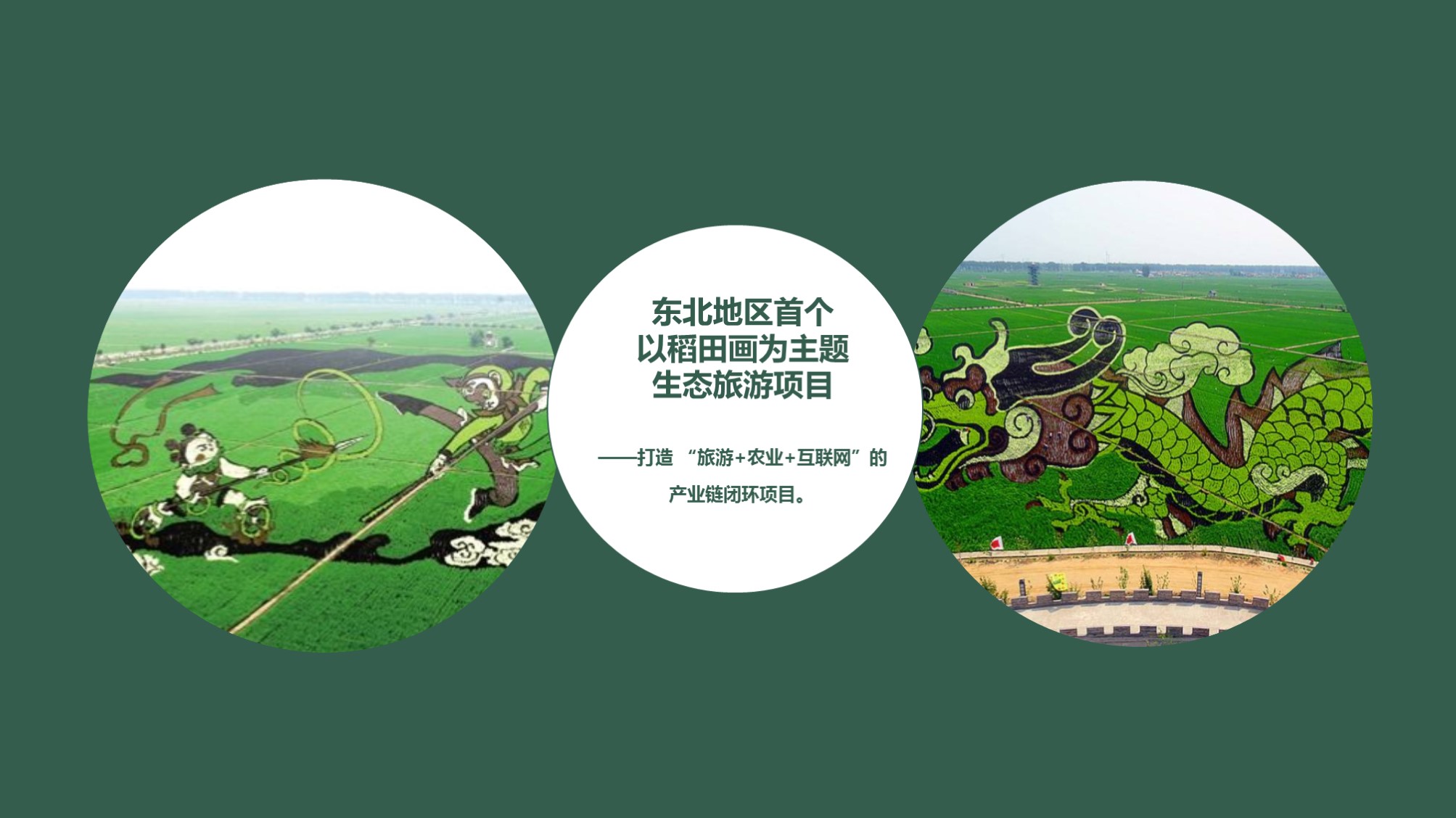 杉林創(chuàng)投