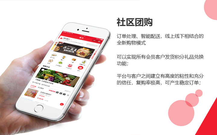 慧族网络19年实体百人开发团队