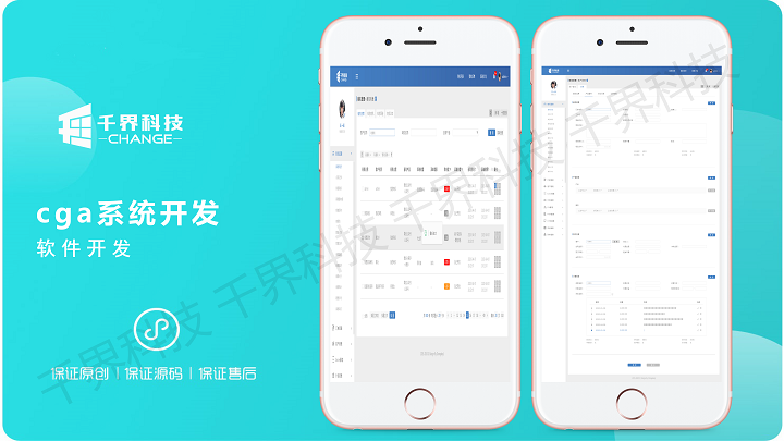 系统软件定制开发哪家好(开发定制软件公司)
