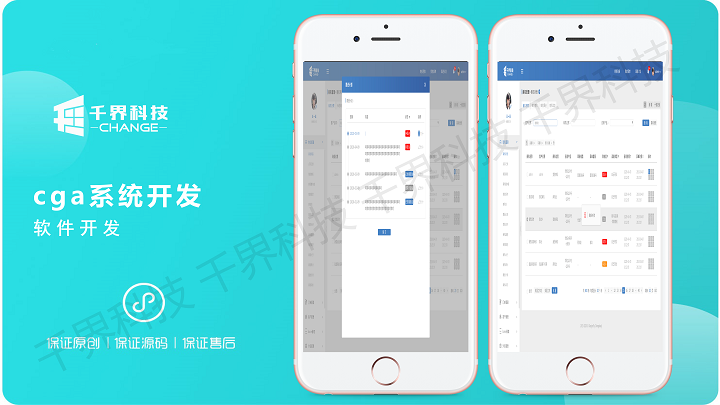 系统软件定制开发哪家好(开发定制软件公司)