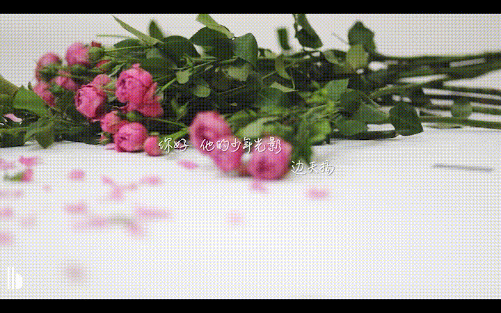 北京兴艺汇文化传媒