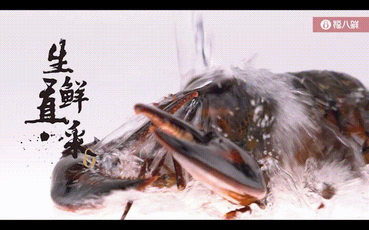 北京興藝匯文化傳媒