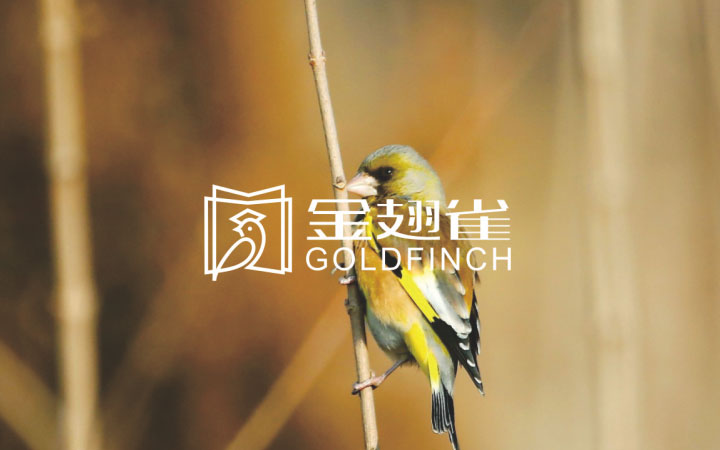 圣熙品牌設(shè)計(jì)-7年實(shí)體店