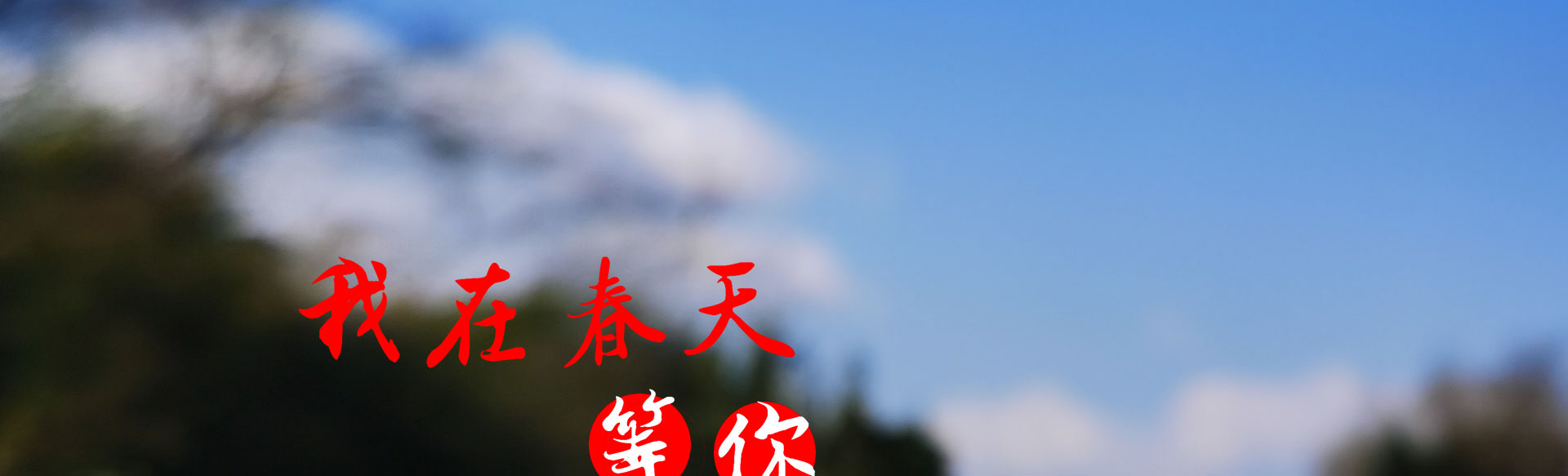 光榮網(wǎng)絡(luò)光榮文創(chuàng)