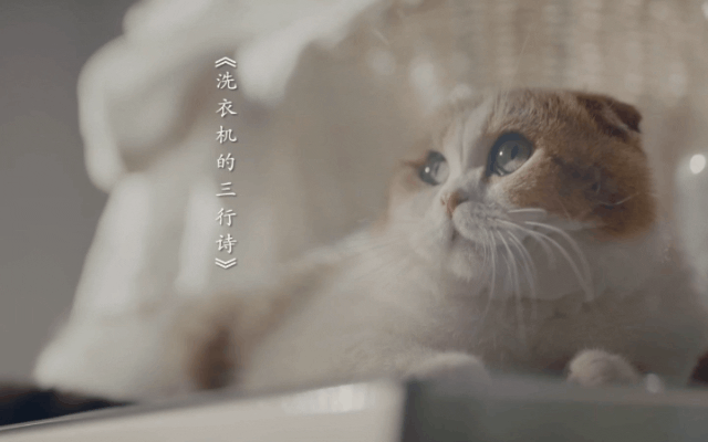 杰有創(chuàng)意廣告動畫