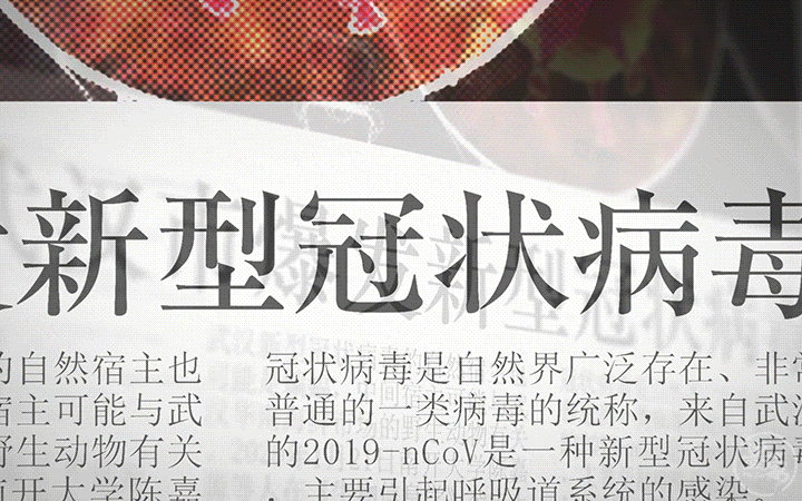 墨家品牌傳媒