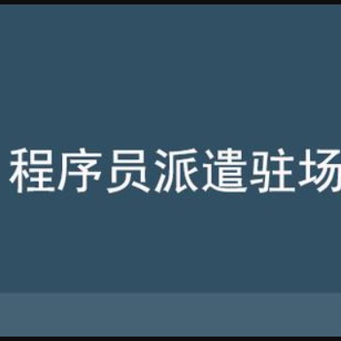 人力外派|前端VUE|后端java駐場|安卓IOS駐場開發(fā)