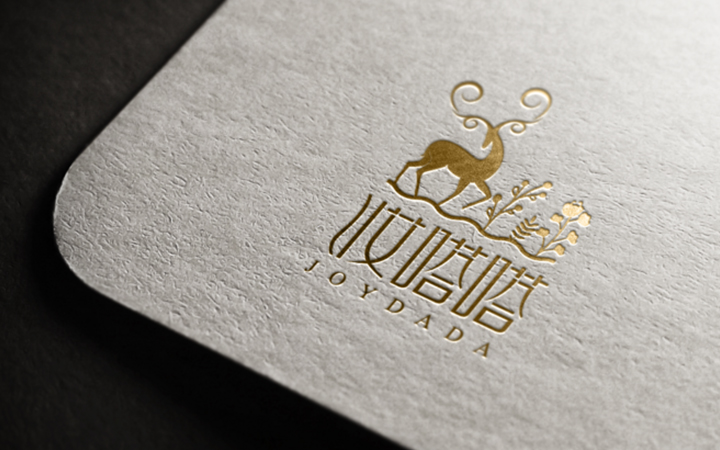 叮咚Pro设计专家