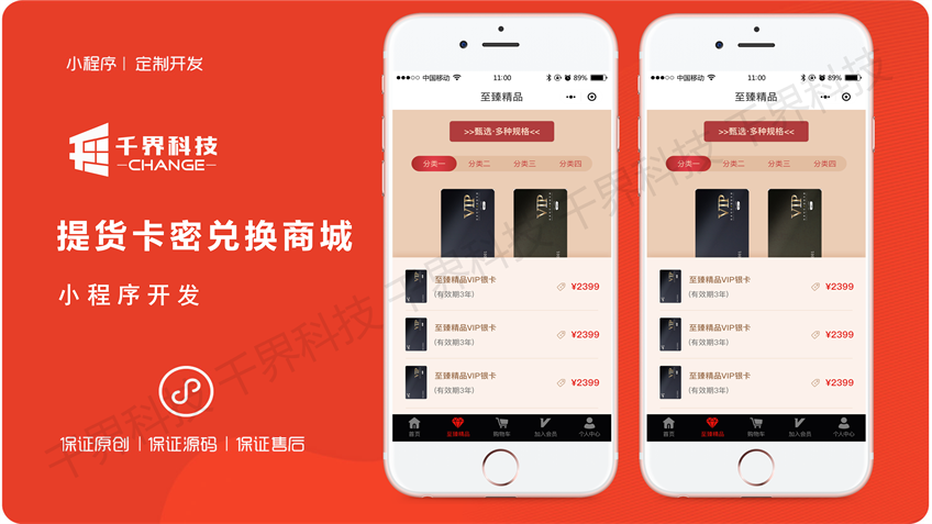 千界科技-国家高新企业十年店