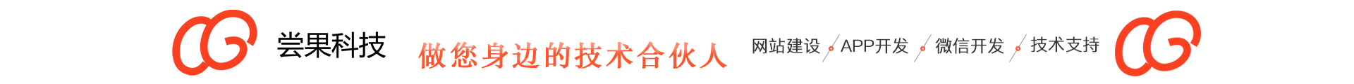 尝果科技-20年技术为你服务