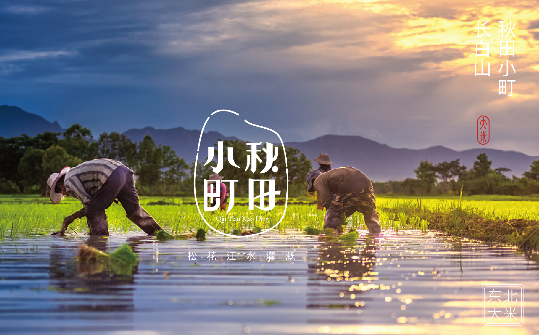 致简品牌设计公司