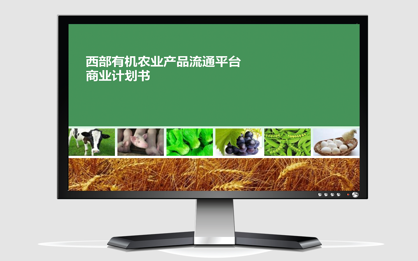 五星辰品牌策劃設(shè)計(jì)