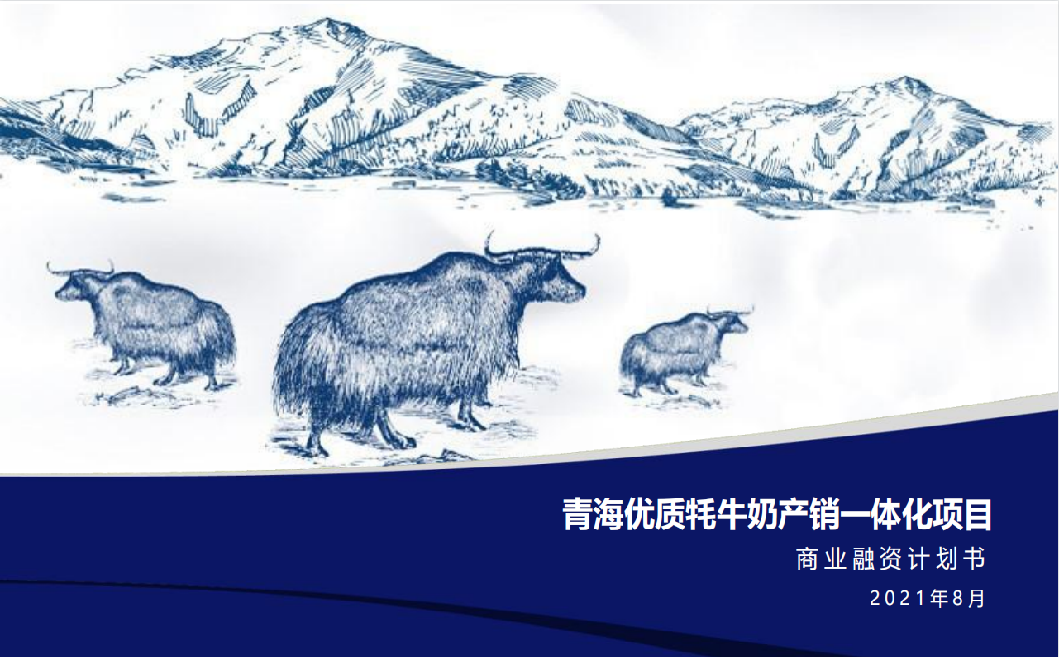 爭流品牌策劃