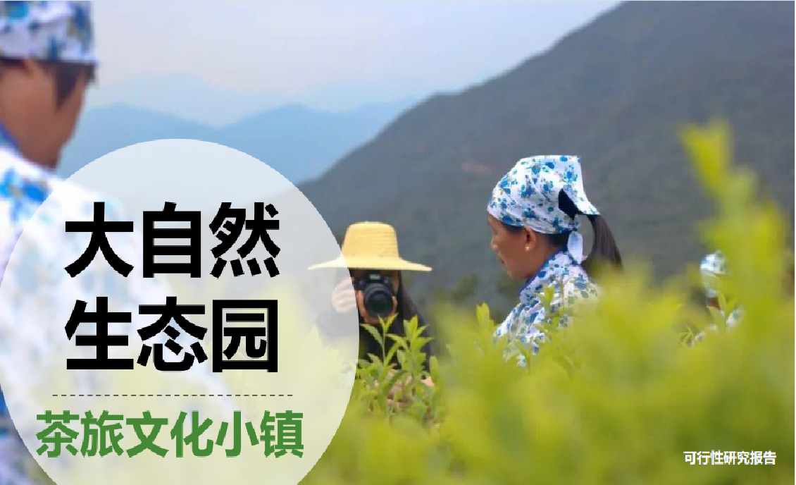 爭流品牌策劃