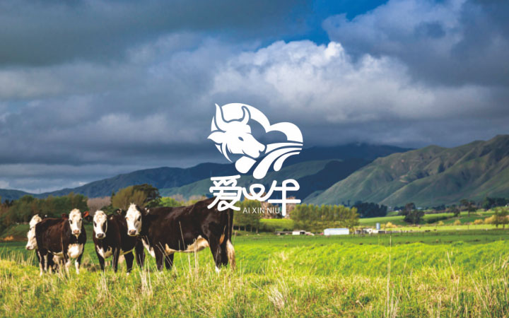 圣熙品牌设计-7年实体店