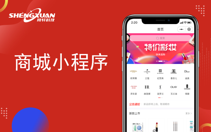 微商社交平台开发公司有哪些(社交电商企业)