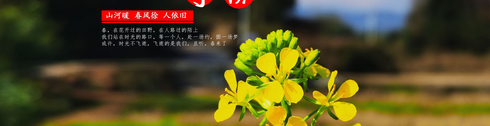 光榮網(wǎng)絡(luò)光榮文創(chuàng)