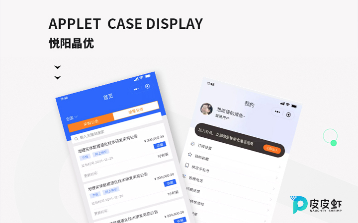 皮皮蝦科技★十年經驗