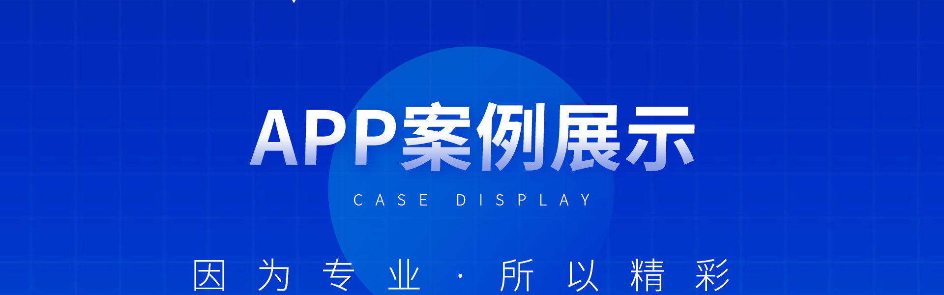 慧族网络19年实体百人开发团队