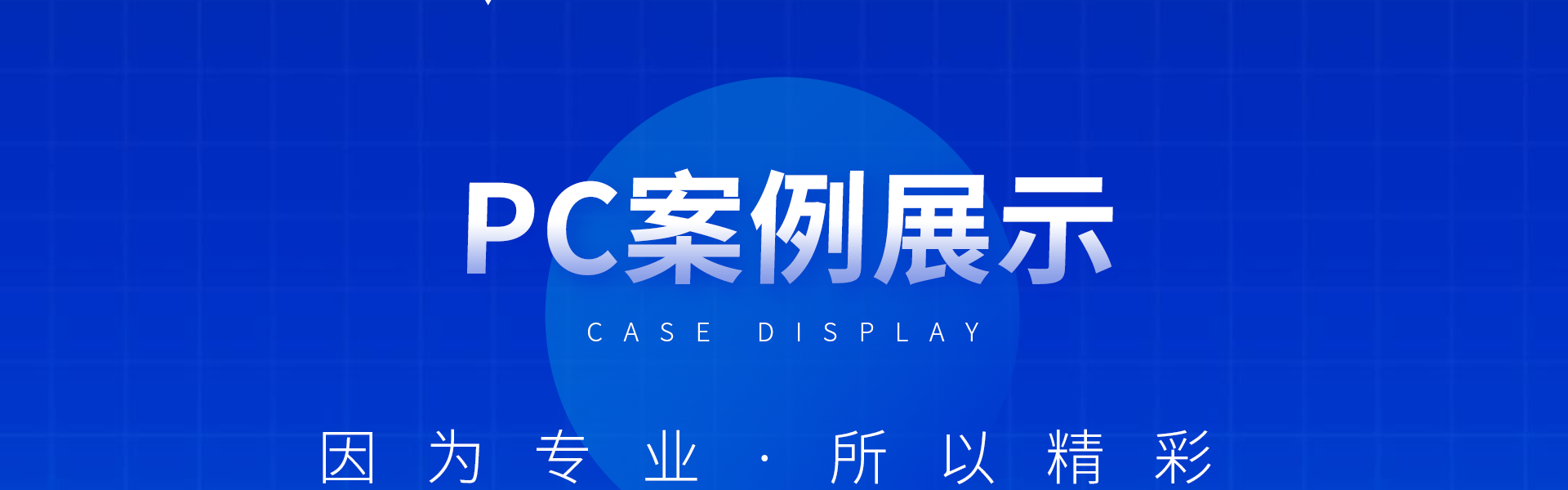 慧族网络19年实体百人开发团队