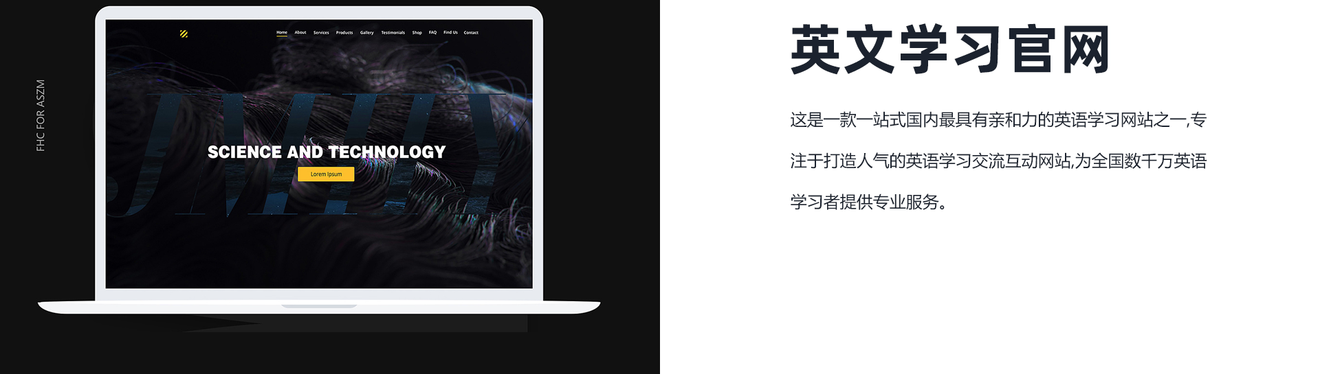 慧族网络19年实体百人开发团队