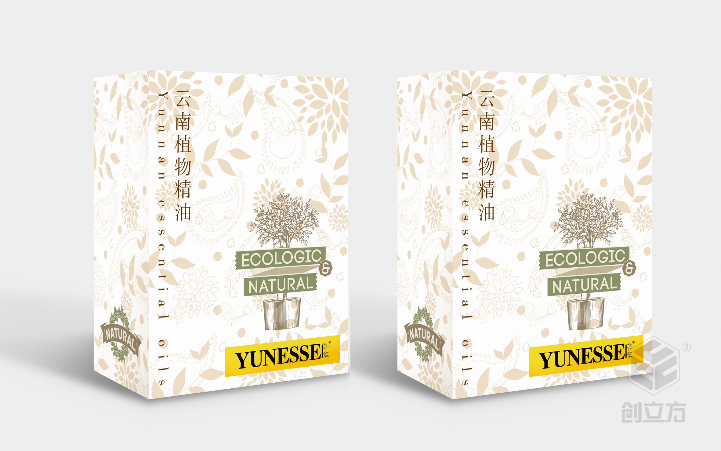 創(chuàng)立方文化傳媒有限公司