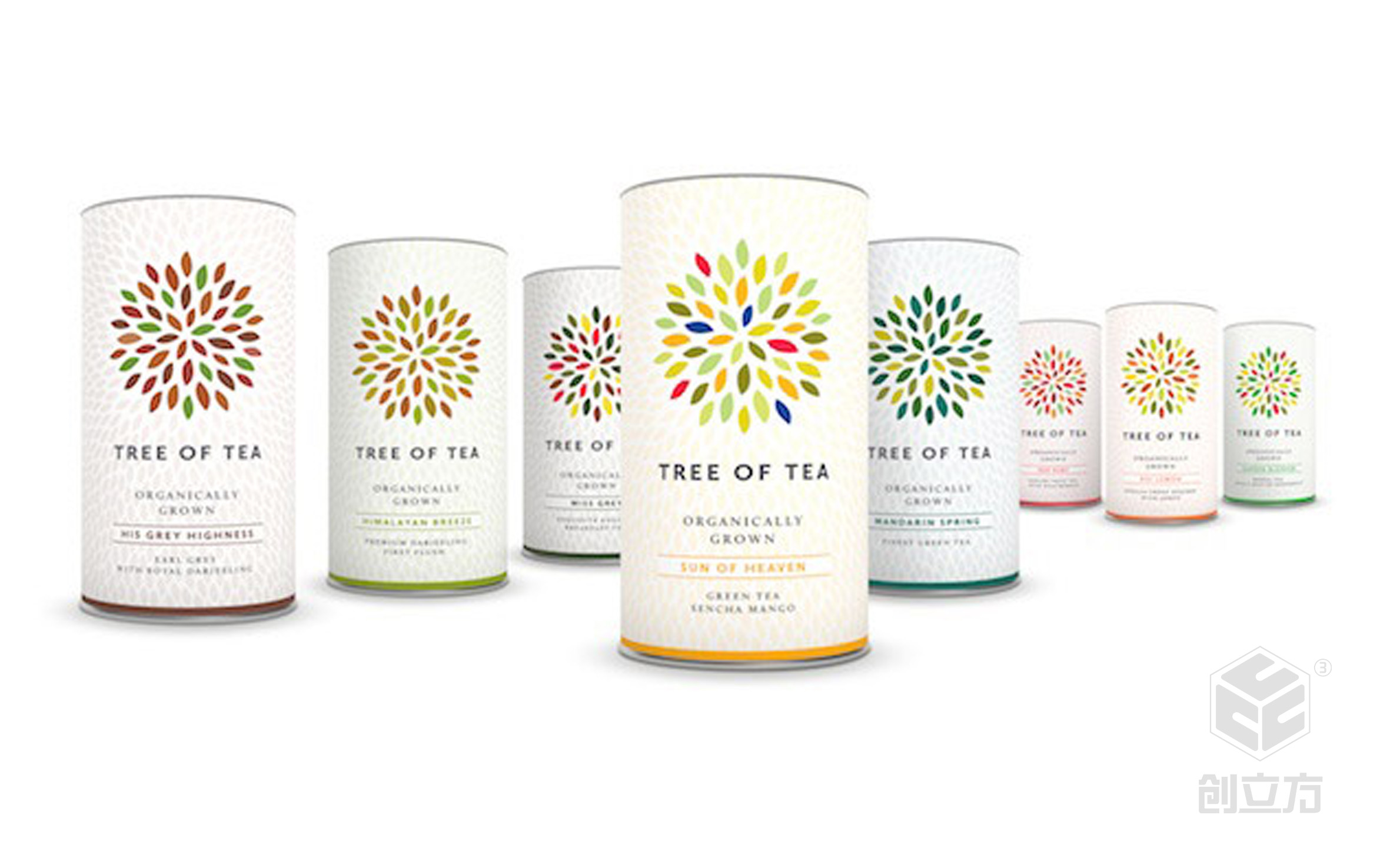 创立方文化传媒有限公司