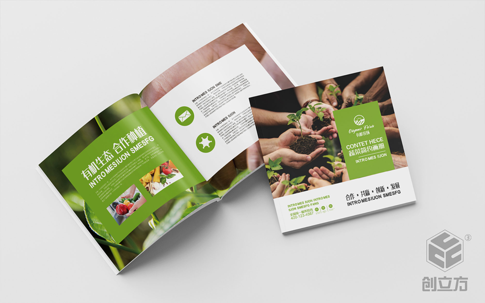 創(chuàng)立方文化傳媒有限公司