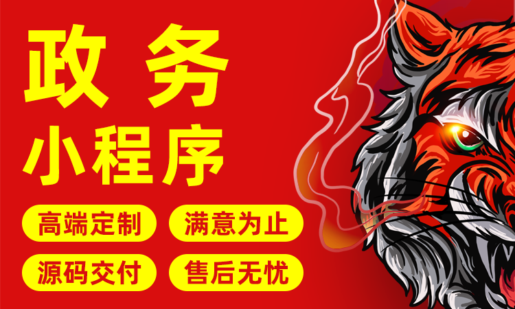 慧族網(wǎng)絡(luò)19年實(shí)體百人開發(fā)團(tuán)隊(duì)