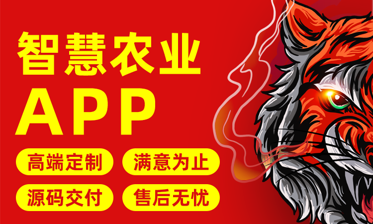 慧族網(wǎng)絡(luò)19年實(shí)體百人開發(fā)團(tuán)隊(duì)