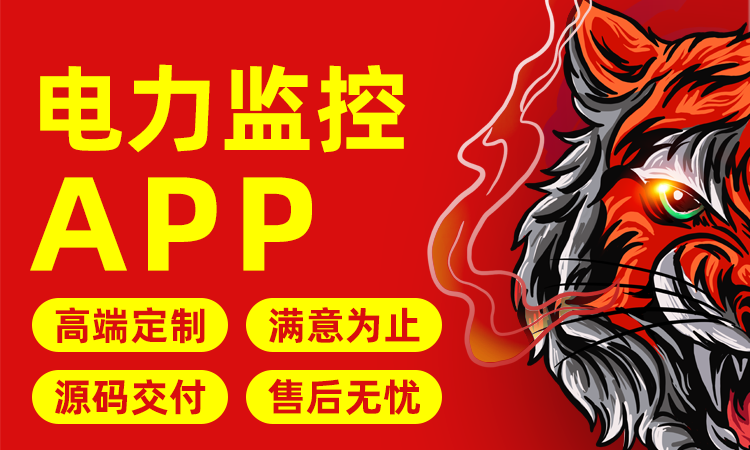 慧族網(wǎng)絡(luò)19年實(shí)體百人開發(fā)團(tuán)隊(duì)