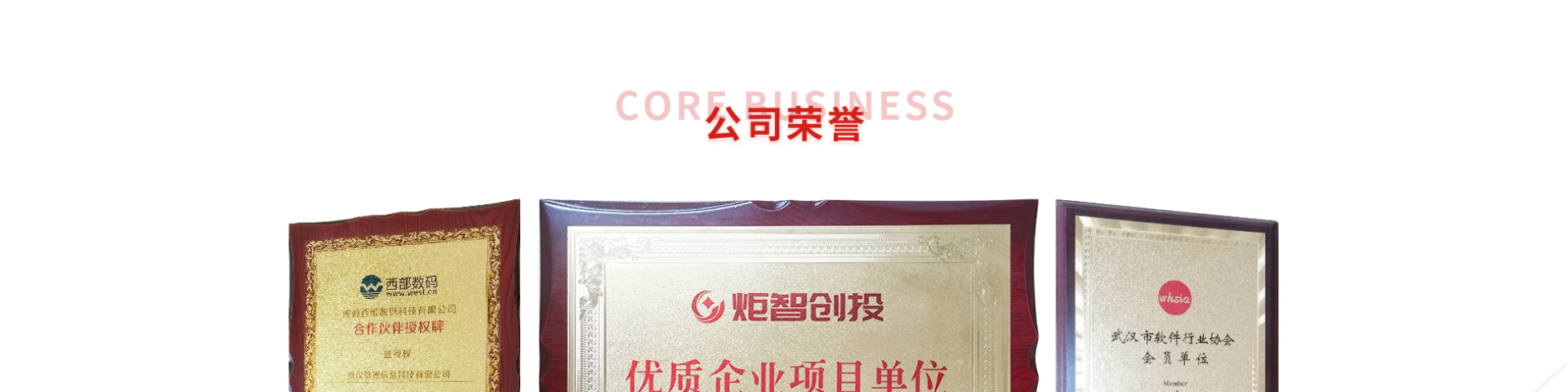 微搜信息科技-場景化應(yīng)用服務(wù)商