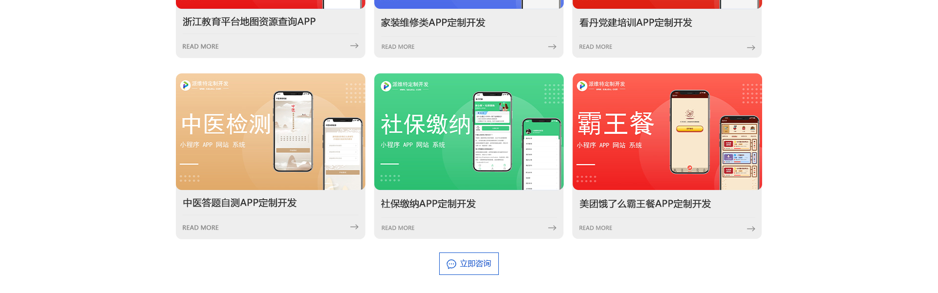 派维特定制开发