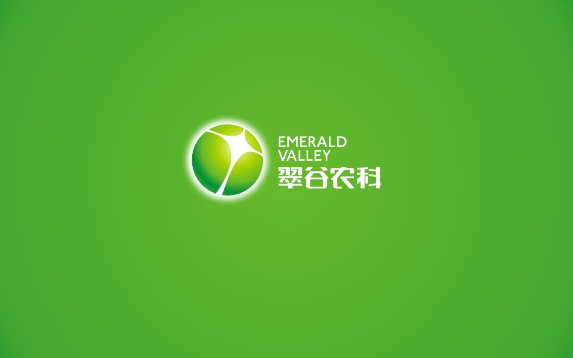 泽楷品牌全案机构