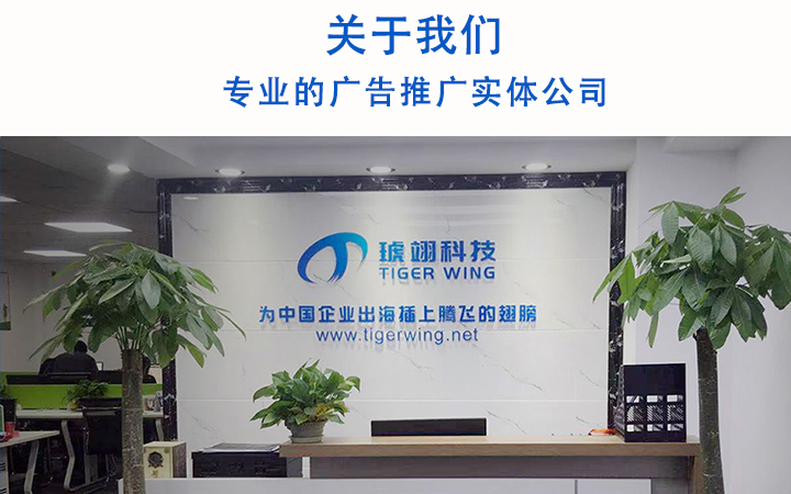 虎翼出海