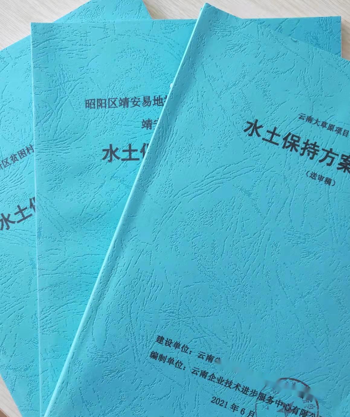 堅(jiān)韌頑強(qiáng)之荊棘鳥(niǎo)