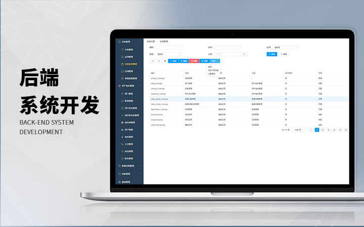 企业管理系统开发：驱动现代企业管理的新引擎