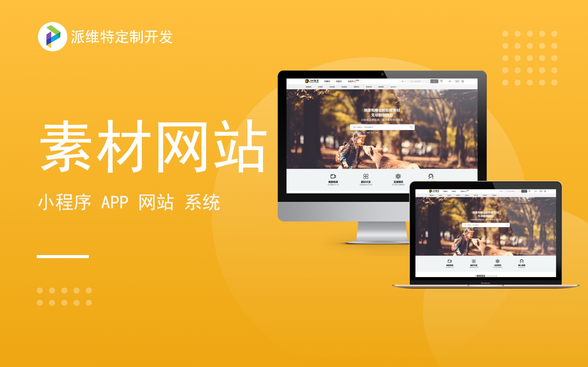 派維特定制開(kāi)發(fā)
