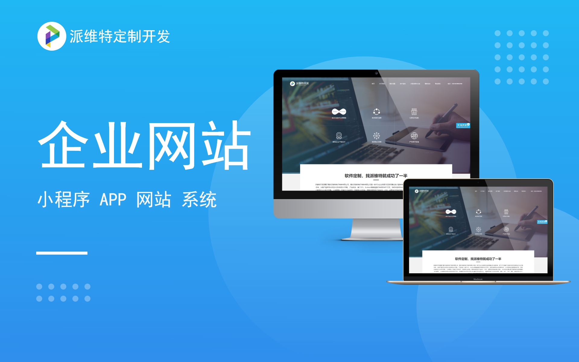 派維特定制開(kāi)發(fā)