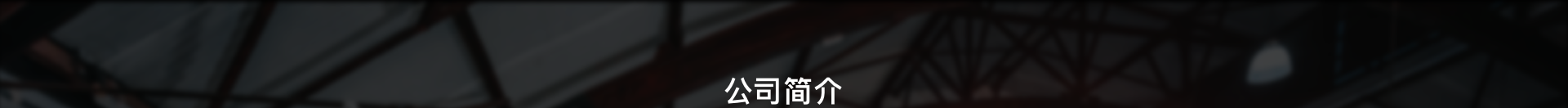 名锐讯动-广州本地专业定制开发