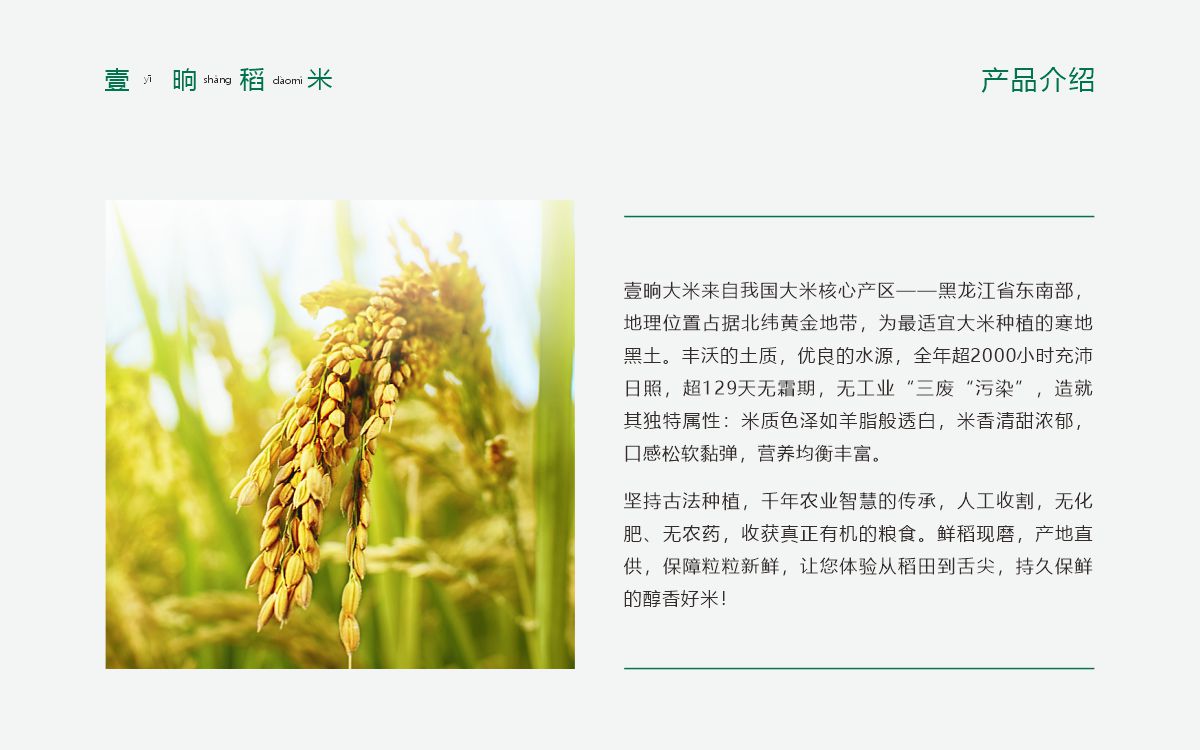 巨鑫品牌設(shè)計