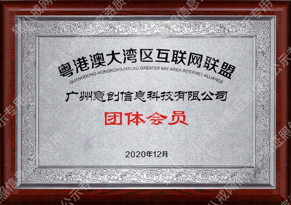 粵港澳大灣區(qū)互聯(lián)網(wǎng)聯(lián)盟團(tuán)體會(huì)員